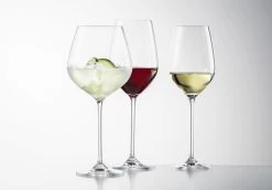 Schott Zwiesel Wijnglazen Fortissimo - Set 18 Delig - Witte En Rode Wijnglazen & Gin Tonic Glazen -Keukenbenodigdheden Winkel 4001836085601 schott zwiesel fortissimo 1