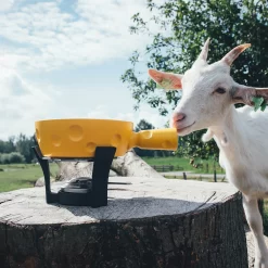 Boska Fondueset Cheesy - 6 Personen - Geel/zwart - 1.3 Liter -Keukenbenodigdheden Winkel 853512 BOSKAFondueSetSuperCheesy 2 2400x