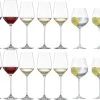 Schott Zwiesel Wijnglazen Fortissimo - Set 18 Delig - Witte En Rode Wijnglazen & Gin Tonic Glazen