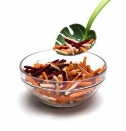 Ototo Opscheplepel Jungle Spoon -Keukenbenodigdheden Winkel Ototo Opscheplepel Jungle Spoon 3