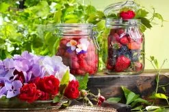 Bormioli Rocco Weckpot Fido 11 X 11 Cm / 1.5 Liter 7 Bormioli Rocco Weckpot Fido 11 X 11 Cm / 1.5 Liter -Keukenbenodigdheden Winkel e000316 3