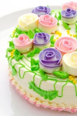 Patisse Springvorm Silver Top ø 12 Cm -Keukenbenodigdheden Winkel patisse vlaai taart sfeer