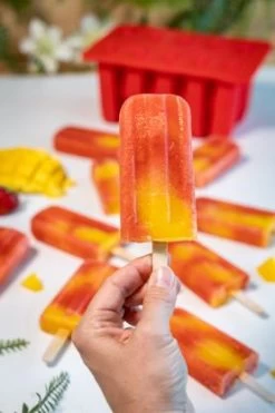 Sareva IJsjesmaker Voor 10 Ijsjes - Rood - Siliconen + 150 Houten IJsstokjes 5 Sareva IJsjesmaker Voor 10 Ijsjes - Rood - Siliconen + 150 Houten IJsstokjes -Keukenbenodigdheden Winkel sareva ijsjesmaker 2